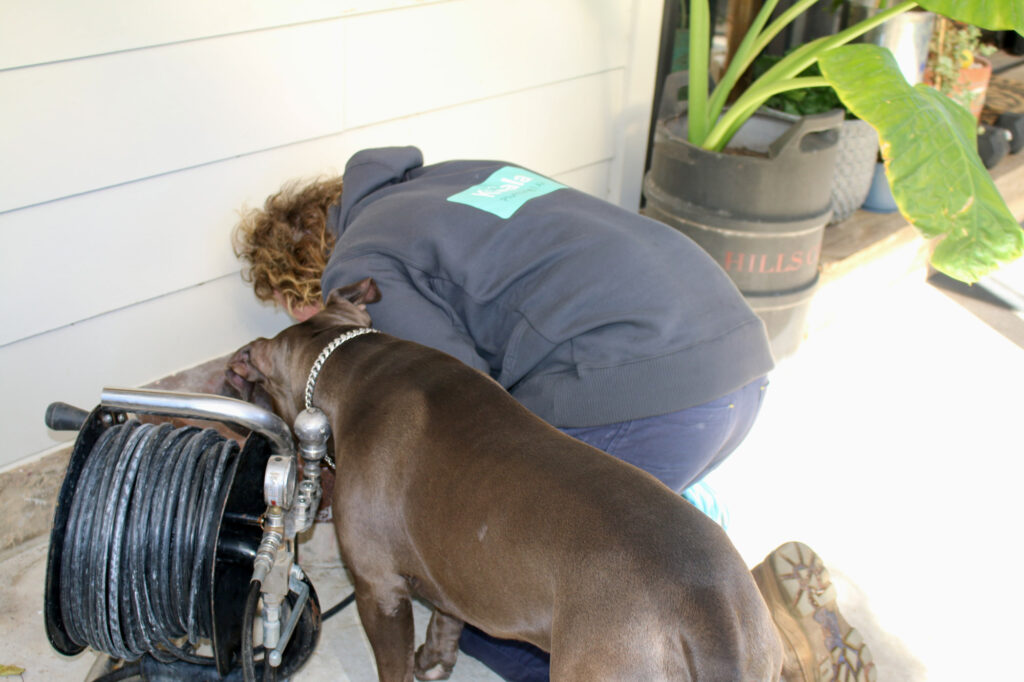 Adelaide blocked drain inspection by Koala Plumbing